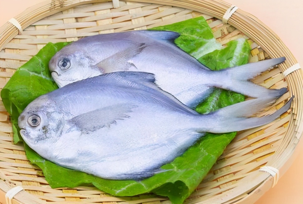 遇到這4種野生海魚別錯過，目前無法人工養殖，純野生價格還不貴